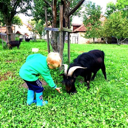 Privat Lypche Hébergement de vacances Bešeňová