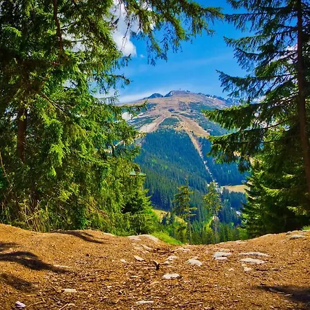 Privat Lypche Hébergement de vacances Bešeňová